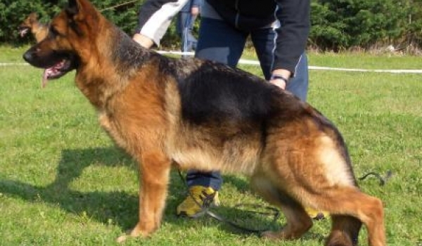 Peggy dell' Alto Pino