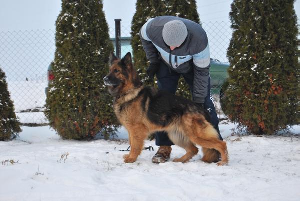 Eidda vom kleinen Mohr