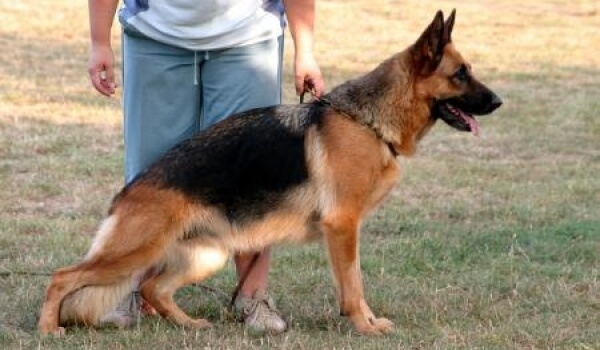 Vicky vom Tankgraben