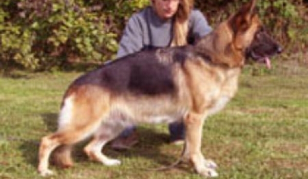 Momo von der Blautalhalle