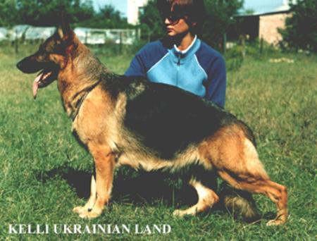 Kelly Ukrainian Land