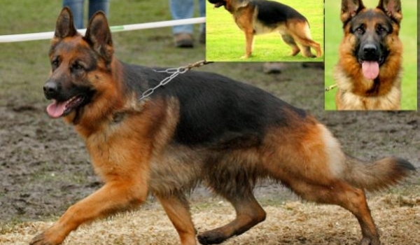 Obi-Wan zum Kolbenguss