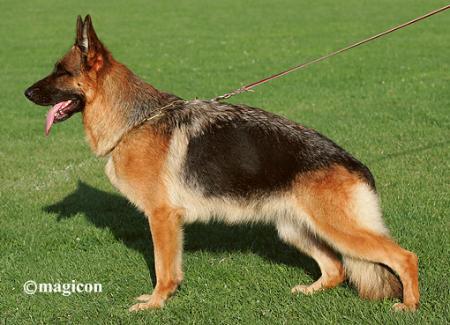 Barbie von Bellissimo