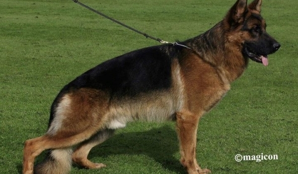 Granitt vom Osterberger-Tal