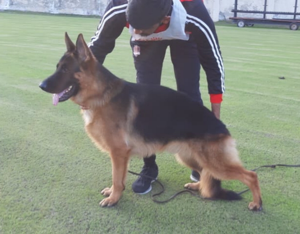 Millo vom Emkendorfer Park